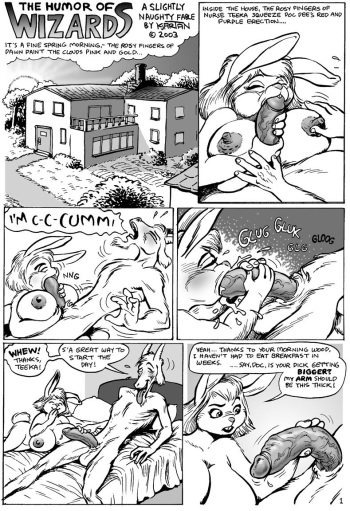 The humor of wizards cover
