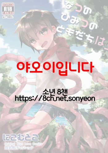 Natsu no Himitsu no Tomodachi wa_ | 여름의 비밀 친구는_ cover