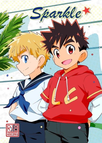 Sparkle cover