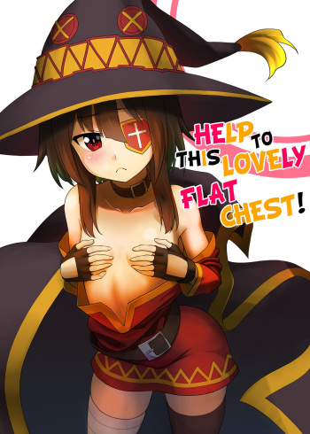 Kono Kawairashii Hinnyu ni Kyuusai o! | Help to this Lovely Flat Chest! cover