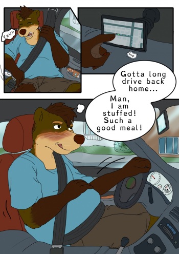 The Long Drive Home cover