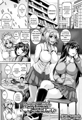 Mesuiki ~Hame Trip~  06 cover