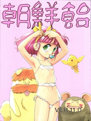 Chousen Ame Ver. 11.0 cover