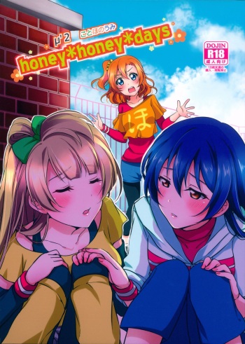 honey*honey*days cover