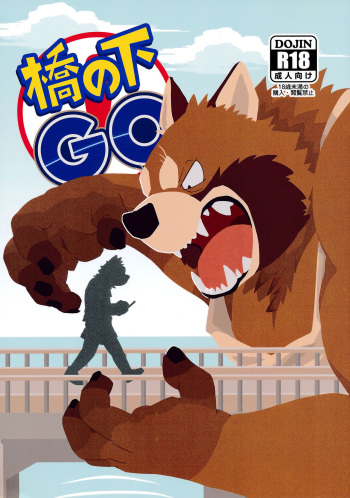 Hashi no Shita GO cover