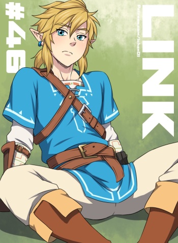 Link pinup sequence cover