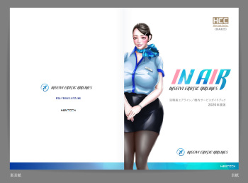 Shin Waritaka Koukuu Inseibi Airline 2020 cover