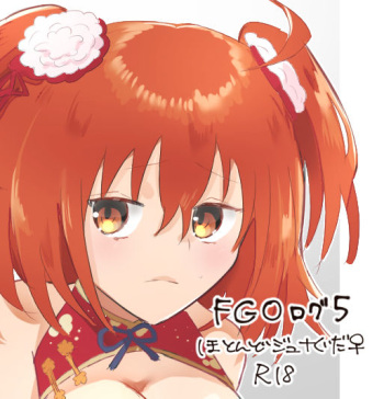 FGO rogu 5 cover