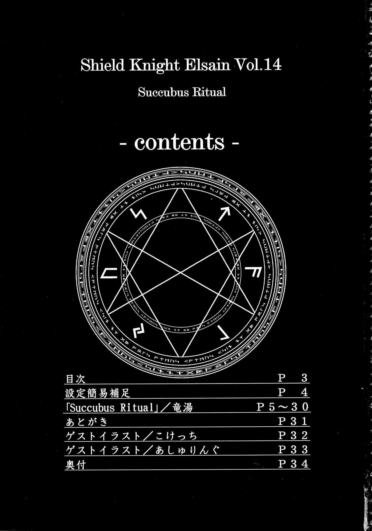 Shield Knight Elsain Vol. 14 "Succubus Ritual" page 2 full
