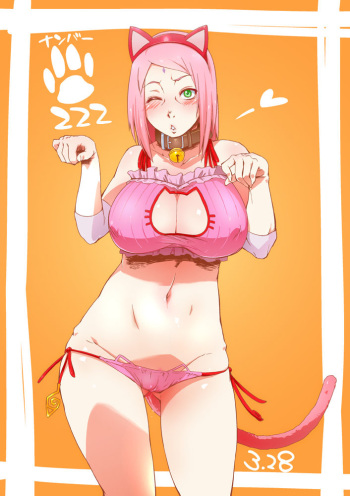 Cat Keyholes cover