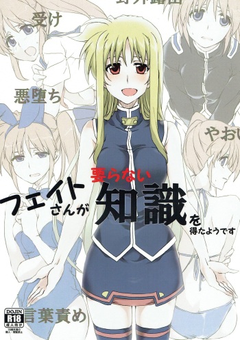 Fate-san ga Iranai Chishiki o Eta you desu cover