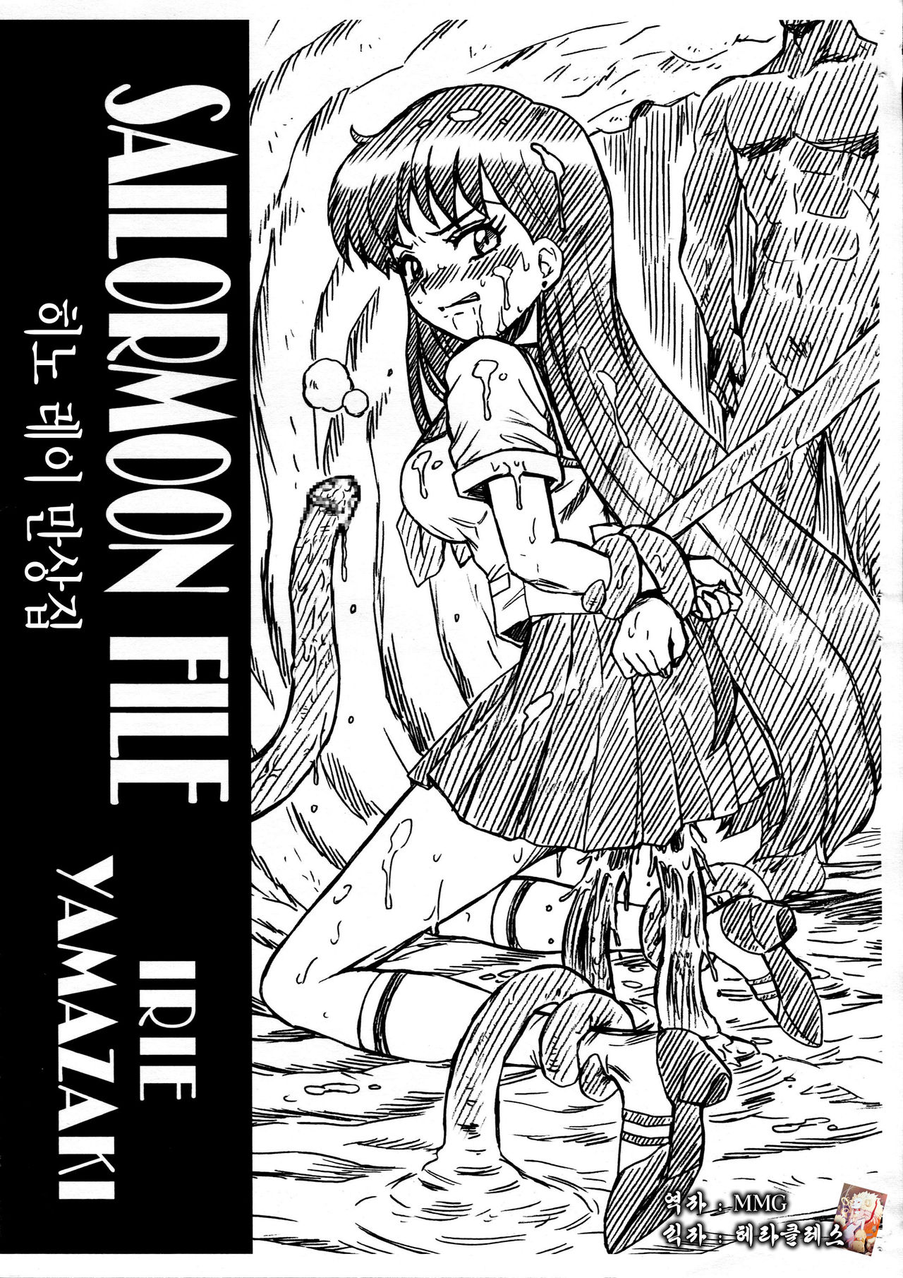 SAILORMOON FILE Hino Rei Gazoushuu page 1 full