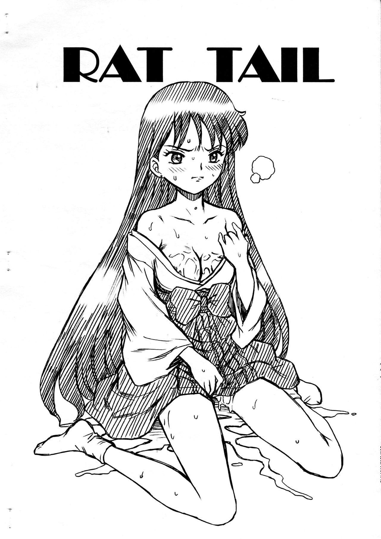 SAILORMOON FILE Hino Rei Gazoushuu page 10 full