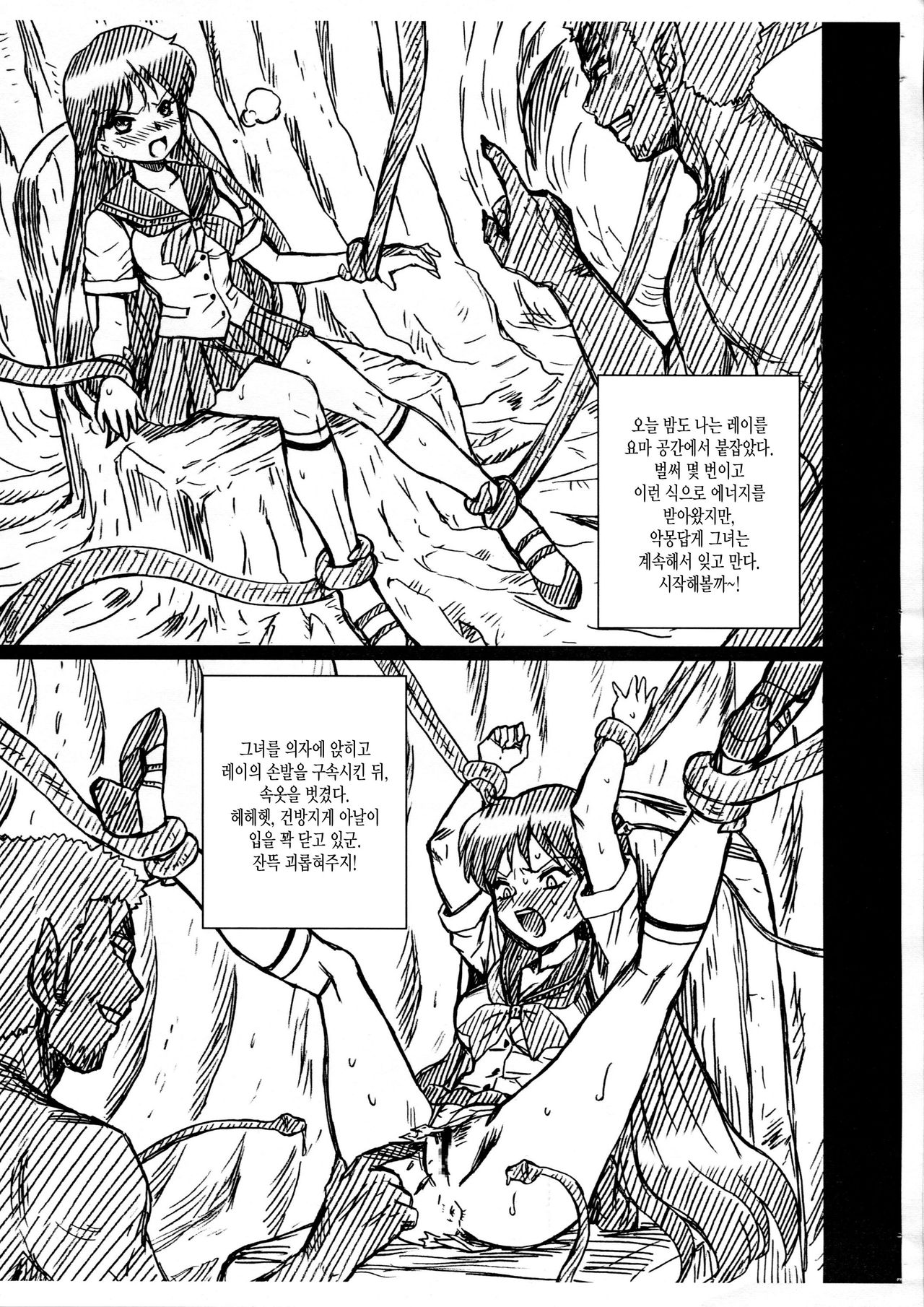 SAILORMOON FILE Hino Rei Gazoushuu page 3 full
