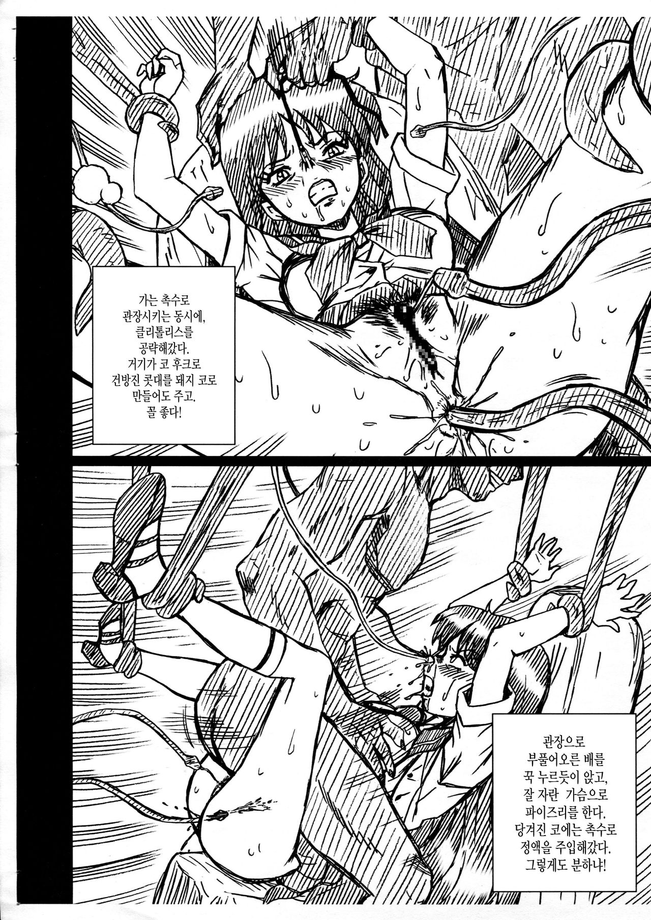 SAILORMOON FILE Hino Rei Gazoushuu page 4 full