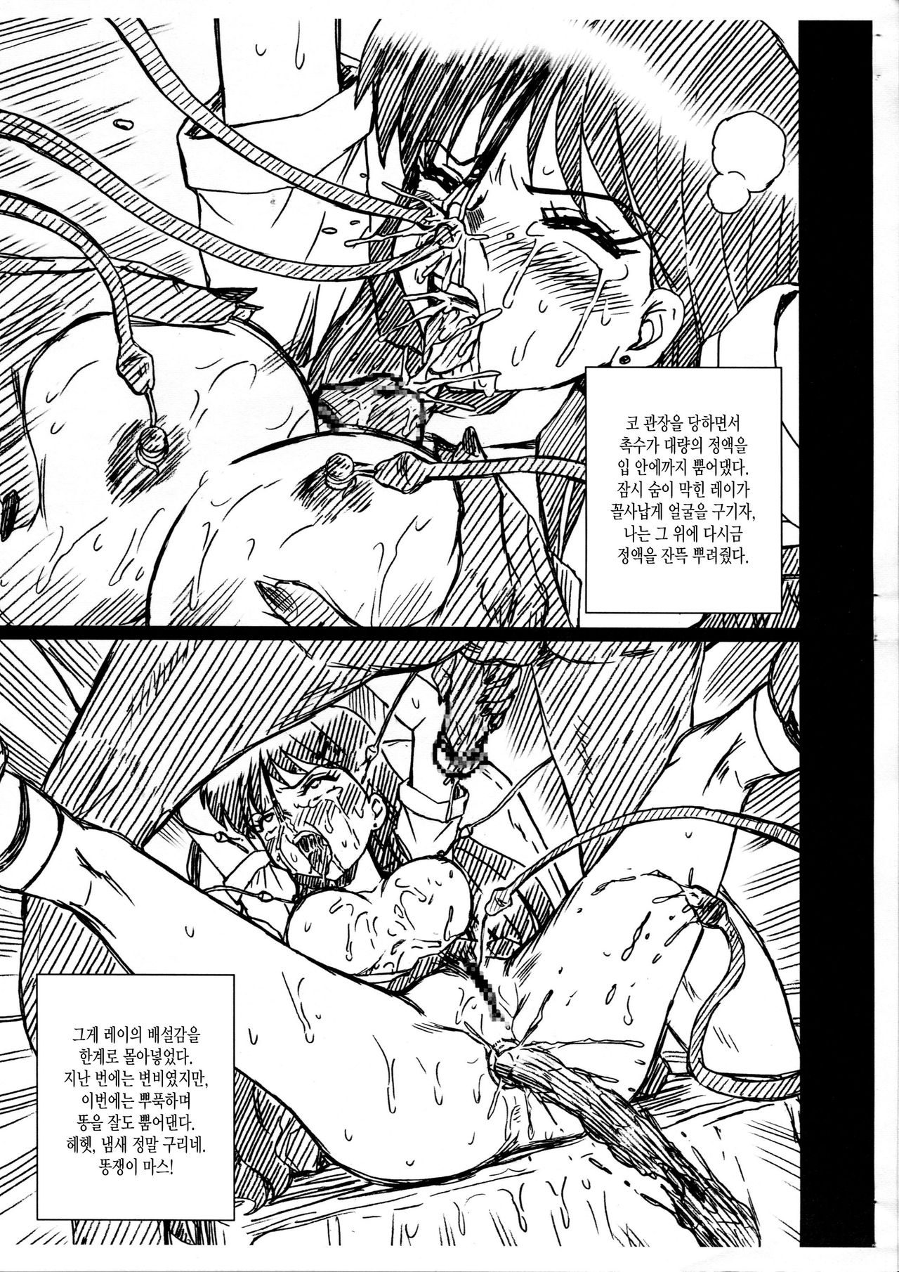 SAILORMOON FILE Hino Rei Gazoushuu page 5 full