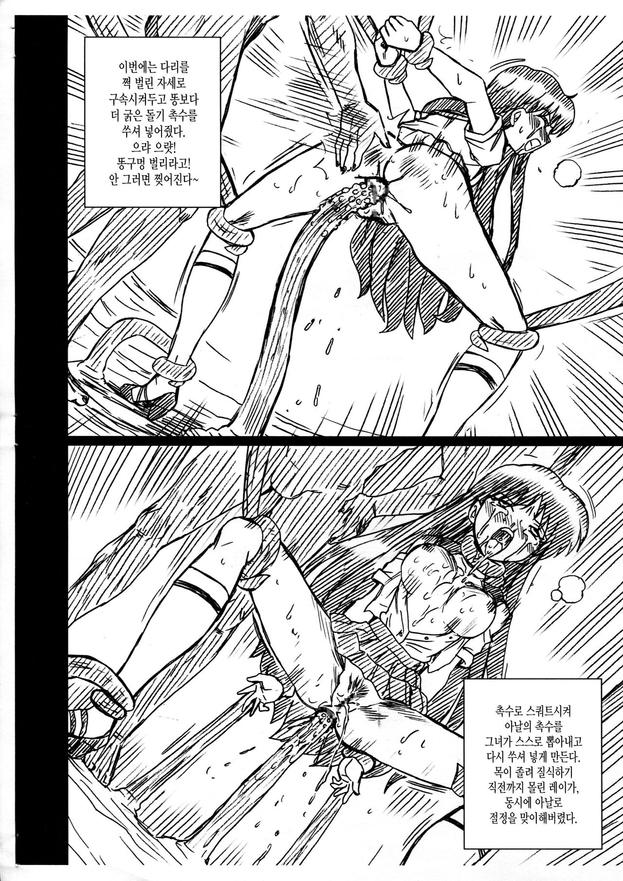 SAILORMOON FILE Hino Rei Gazoushuu page 6 full
