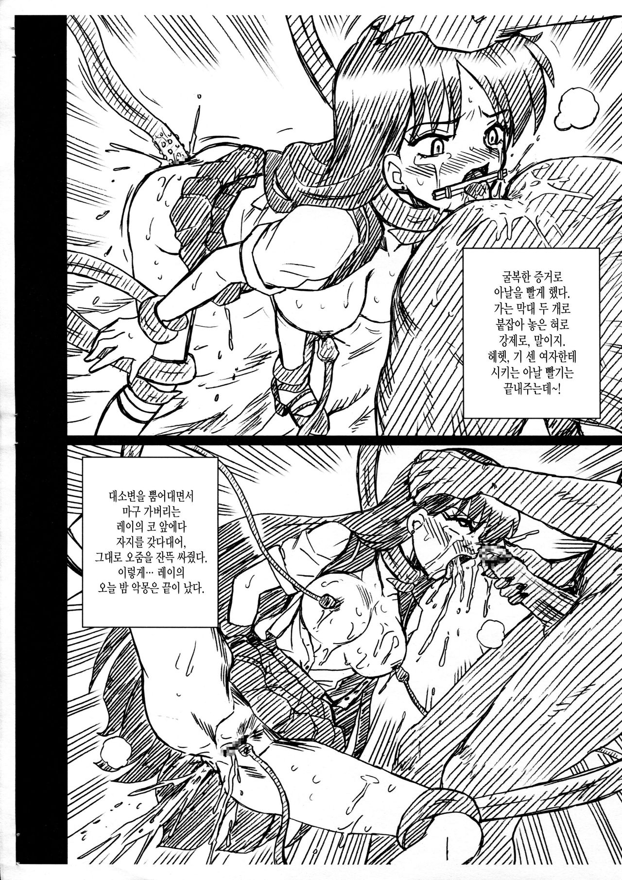 SAILORMOON FILE Hino Rei Gazoushuu page 8 full
