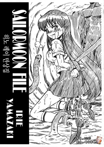 SAILORMOON FILE Hino Rei Gazoushuu cover