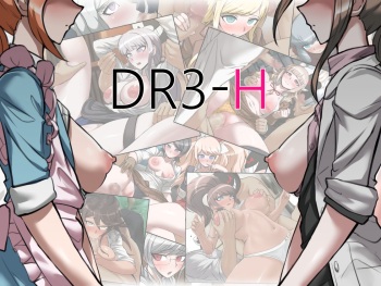 DR3-H cover