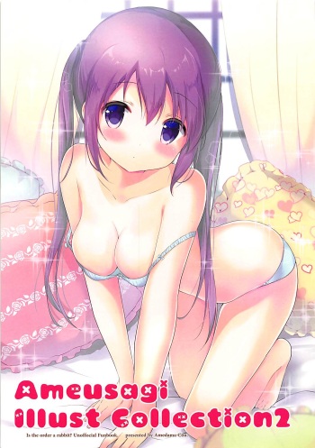 Ameusagi Illust Collection 2 cover