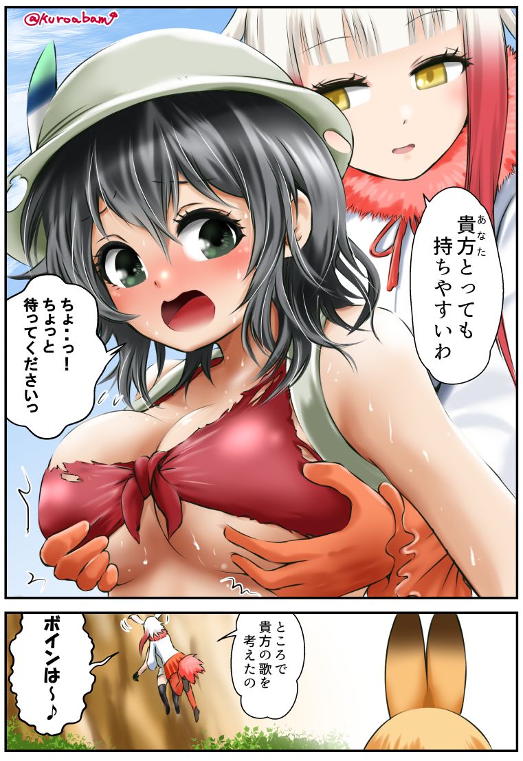 こうざん周辺のフレンズ page 5 full