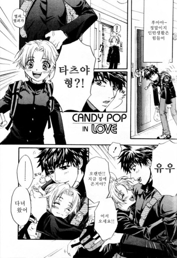 Candy Pop In Love cover
