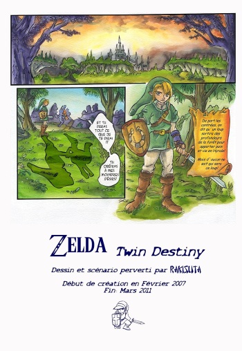 Zelda Twin Destiny cover