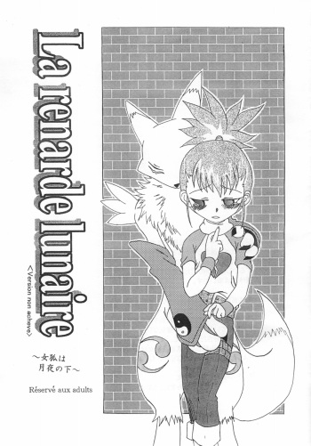 La renarde lunaire cover