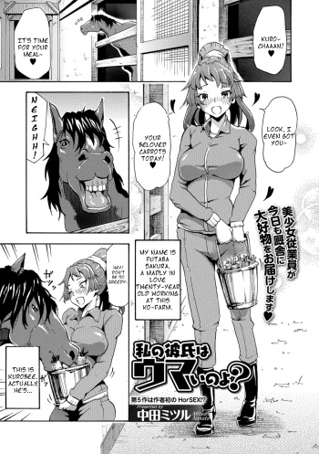 Watashi no Kareshi wa Umaino yo? cover