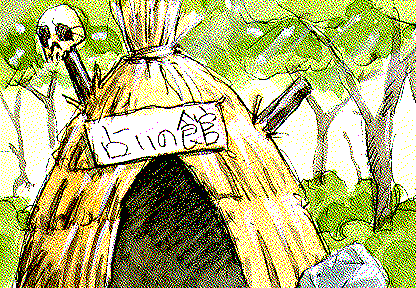 Jigen no Tabi page 5 full