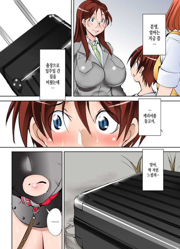 Tomodachi ga Himitsukichi de Katteta Roshutsukyou Bakunyuu Jukujo ga Dou Mitemo Uchi no Okaa-san ni Shika Mienai Ken | 친구가 비밀기지에서 기르던 노출증 폭유숙녀가 어떻게봐도 우리 엄마로밖에 보이지 않는 건 page 6 full