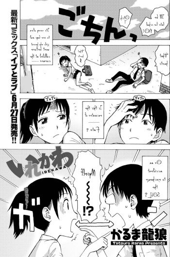 Irekawa cover