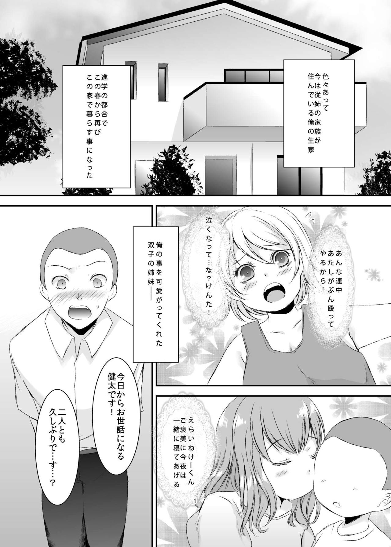 Sei Yariman Sisters Pakopako Nikki Daiikkan page 2 full