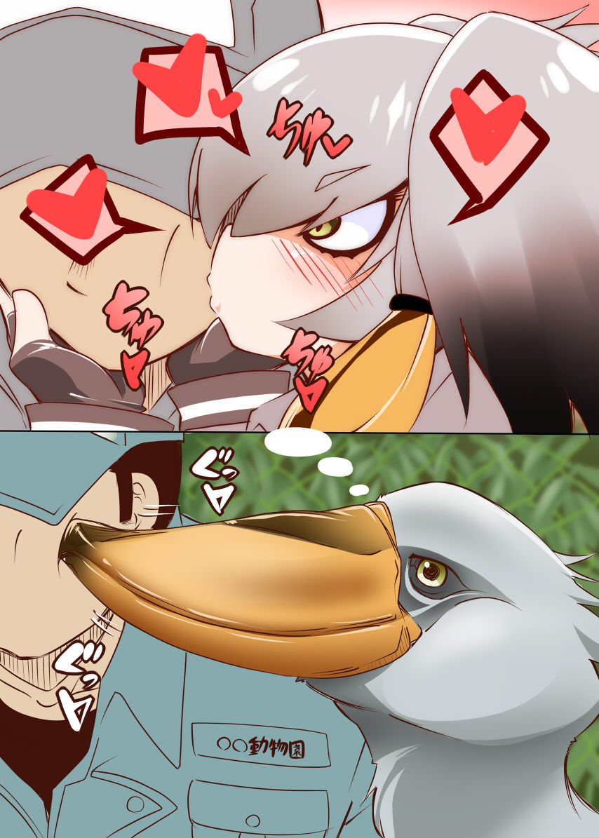 ハシビロコウ page 6 full