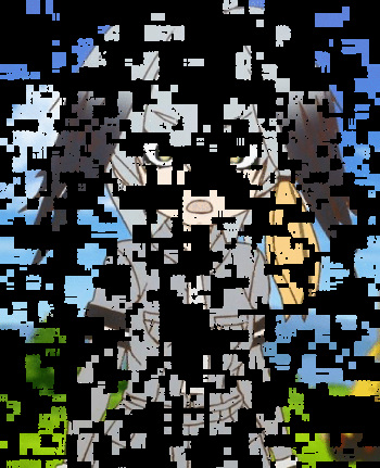 ハシビロコウ cover