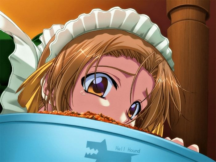 Maid no Yakata ~ Zetsubou Hen ~ page 5 full