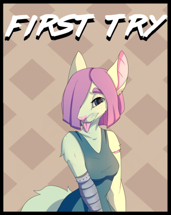 First try cover