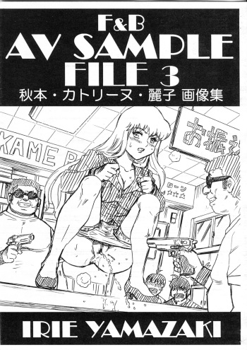 F&amp;B AV Sample File 3 Akimoto Katherine Reiko Gazoushuu cover