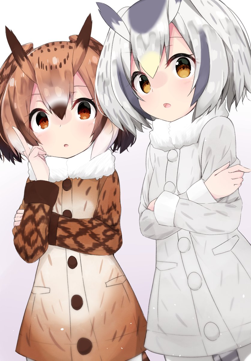 しんりんちほーのフレンズ page 2 full