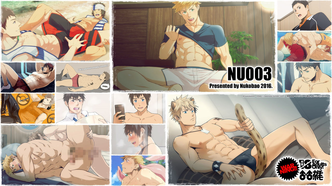 NU003B page 1 full