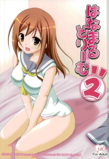 Hanamaru Dream 2 cover