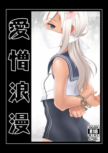 Aizou Roman cover
