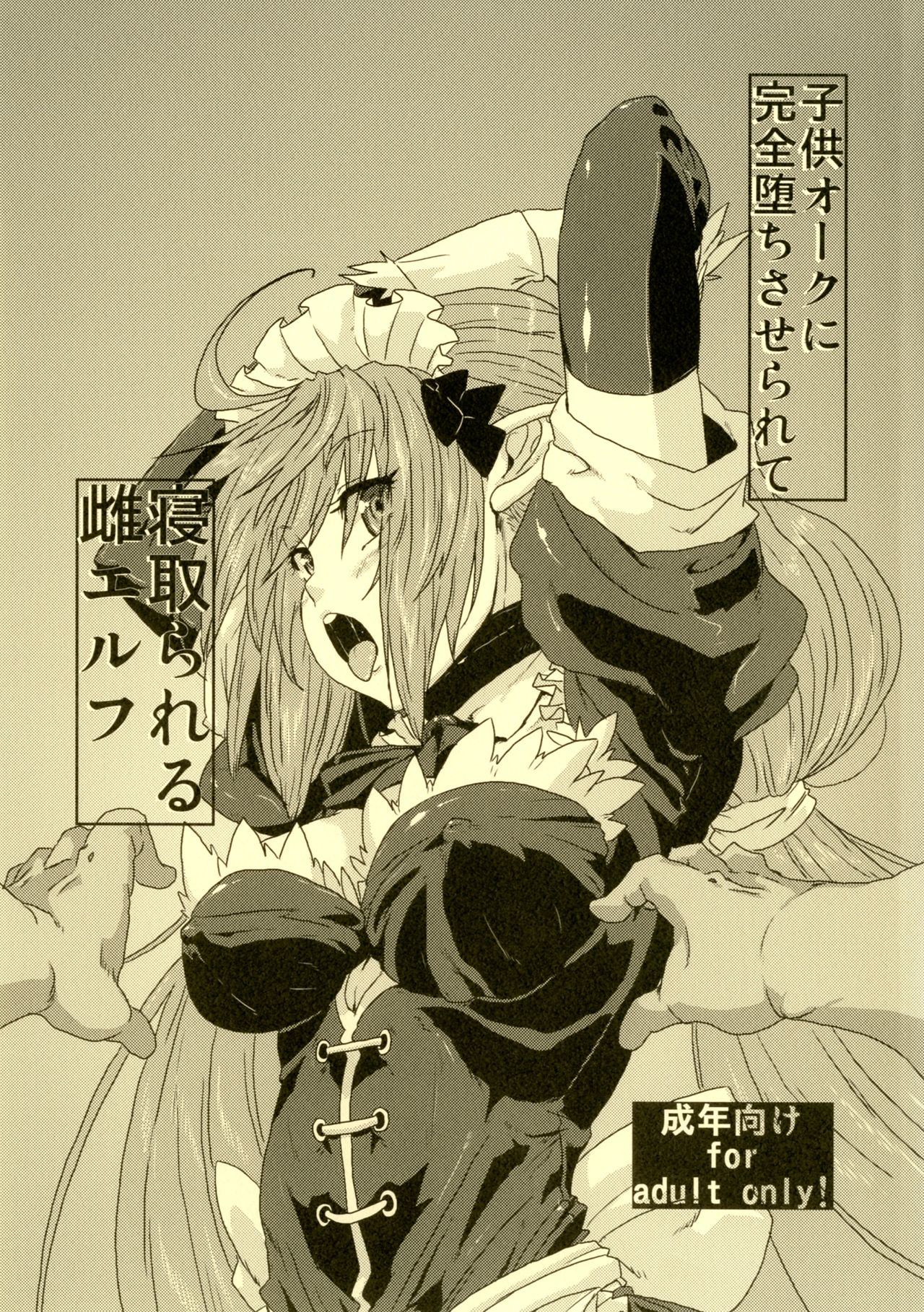 Kodomo Orc ni Kanzen Ochisaserarete Netorareru Mesu Elf page 1 full