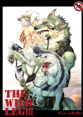 THE WILD LEG III cover