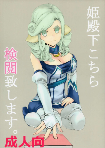 Hime Denka Kochira Kenetsu Itashimasu. cover