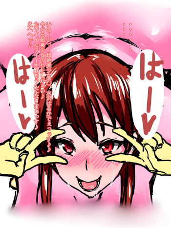 Chigei companion cover
