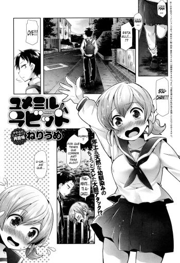Yumemiru Rabbit cover