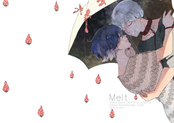 Melt cover