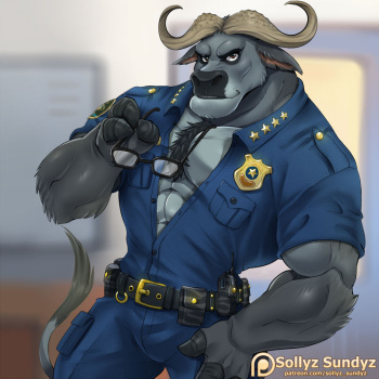 Bogo cover